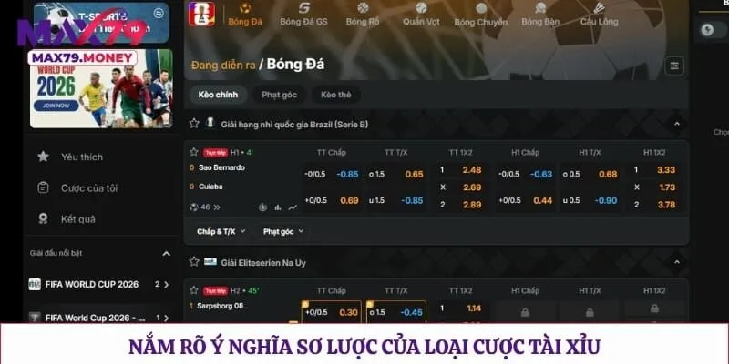 Nắm rõ ý nghĩa sơ lược của loại cược tài xỉu