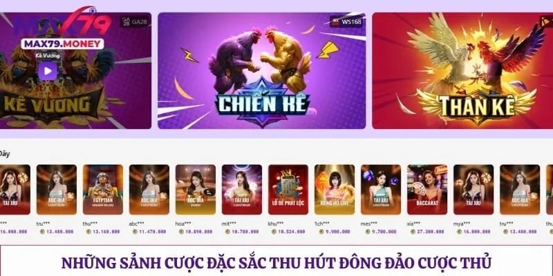 Những sảnh cược đặc sắc thu hút đông đảo cược thủ