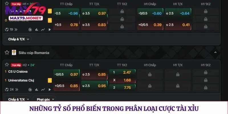 Những tỷ số phổ biến trong phân loại cược tài xỉu